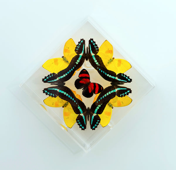 7" x 7" Kaleidoscope Design - 77KDPCM