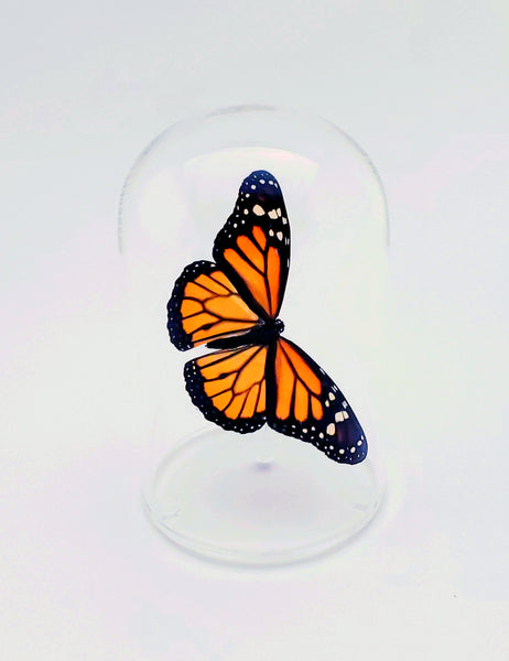5" Glass Dome