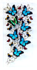 12" x 24" exotic butterfly display - 1224BUZAP - Vertical - Regular Price 895.00 discounted to $795.00