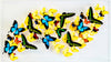 18" x 32" exotic butterfly display - 1832BPRU - Horizontal