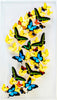 18" x 32" exotic butterfly display - 1832BPRU - Vertical Left