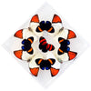 7" x 7" exotic butterfly display - 77KDOTPC