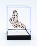5 1/2" Tall Table Display - Rice Paper butterfly